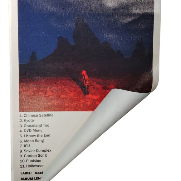 Phoebe Bridgers Punisher Album Cover Canvas Print Poster, Indie, 12x16" Unframed - Picture 4 of 4